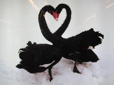 ...die besten.. ...die besten..