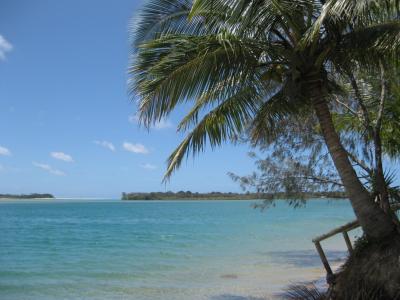 Beautiful Noosa