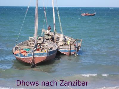 Dhows nach Zanzibar