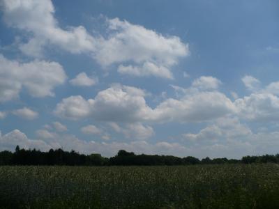 Ein kleines Panoramabild