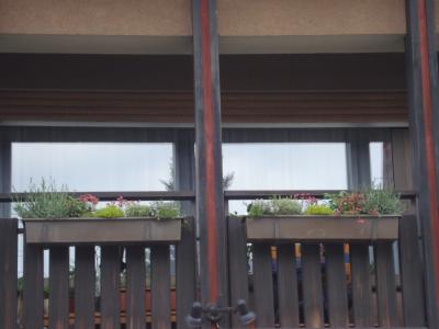 Meine Balkonkr&auml;uterk&auml;sten von unten...