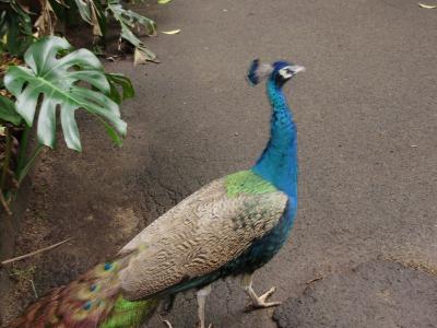 Vau im Tierheim Vau im Tierheim