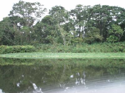 Faehre nach Bocas del Torro Faehre nach Bocas del Torro
