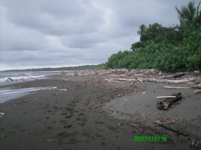Strand von La Sirena Strand von La Sirena