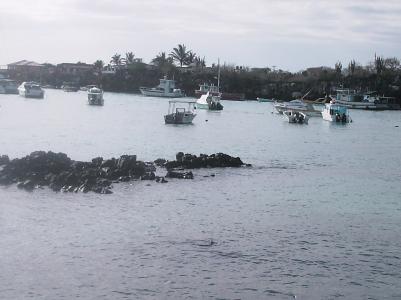 Puerto Ayura Puerto Ayura