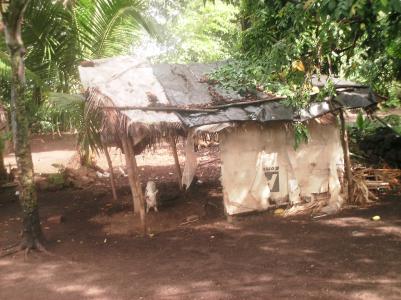 Isla Ometepe Isla Ometepe