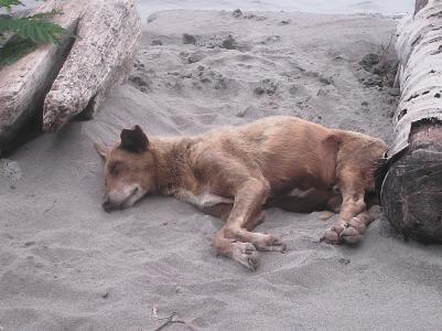 Lieblingsnachbar Lieblingsnachbar