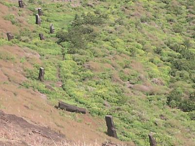 Maoifabrik Rano Raraku Maoifabrik Rano Raraku