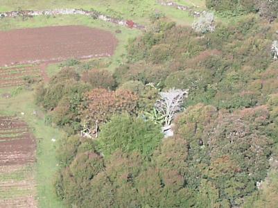 Sicht auf Mein Campaneto vom Rano Rarku Sicht auf Mein Campaneto vom Rano Rarku