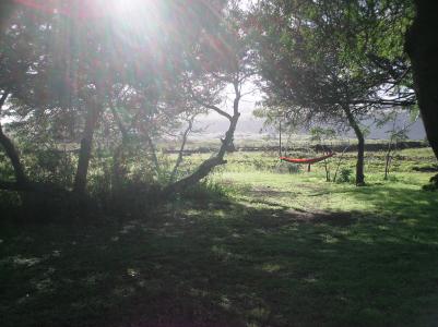 meine haengematte:-) meine haengematte:-)