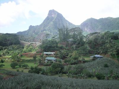 Ananas Dorf Moorea