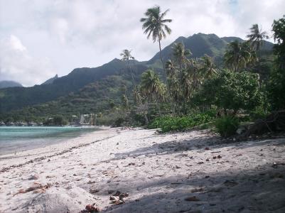 Strand Sofitel- Moorea