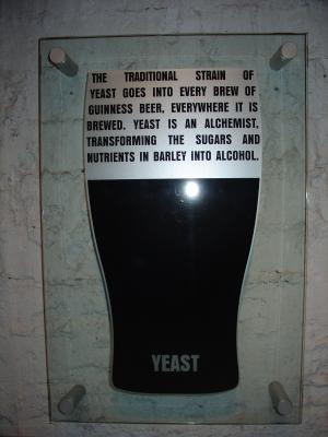 Yeast = Hefe