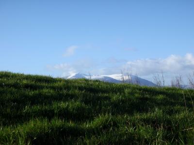 gruenes Gras, weisse Berge