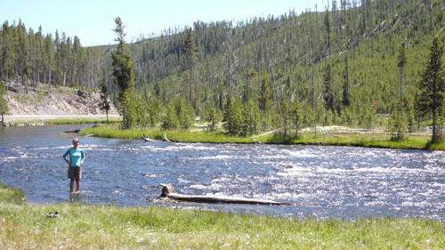 Der Firehole River war fuer einen Gebirgsfluss unerwartet warm - so ist das eben auf der Magmakammer.