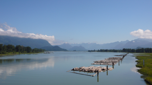 Der Fraser River, kurz vor Vancouver