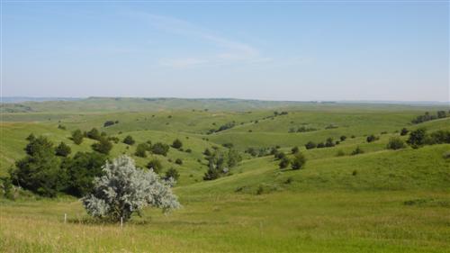 In South Dakota gibt es Huegel und schoene Landschaft, wir waren angenehm ueberrascht
