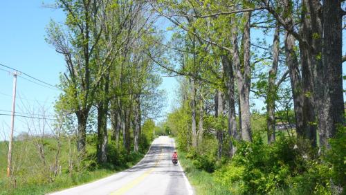 Schoene Umgebung und vor allem viele Huegel...