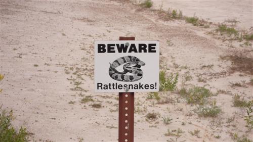 Wir haben leider keine gefunden...