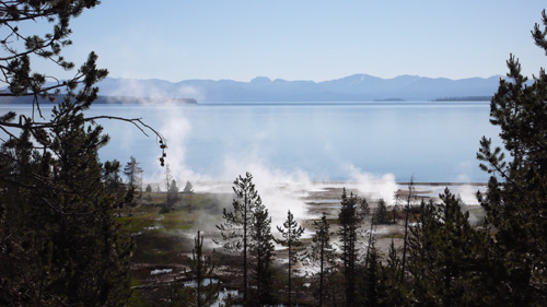 Der Boden dampft und blubbert im Yellowstone Park.