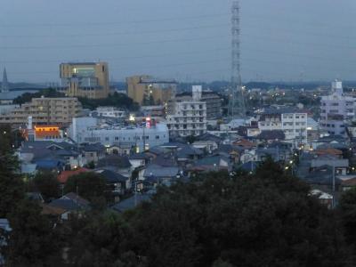 Ein Blick über Sagamihara und ein winziger Ausblick über die Größe der Stadt