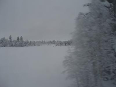 Ausblick während der Zugfahrt Uppsala-Luleå 