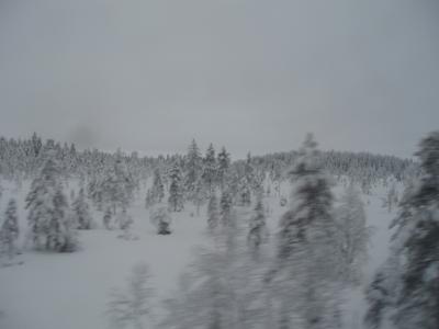 Ausblick aus dem Zug Uppsala-Luleå 