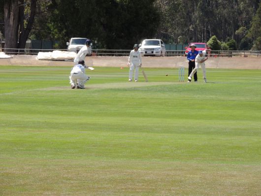 Cricket Match in Sheffield