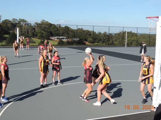 Netball Game