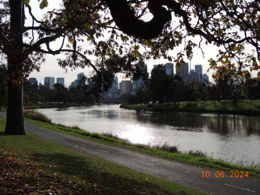 Yarra view of Melbourne Skyline