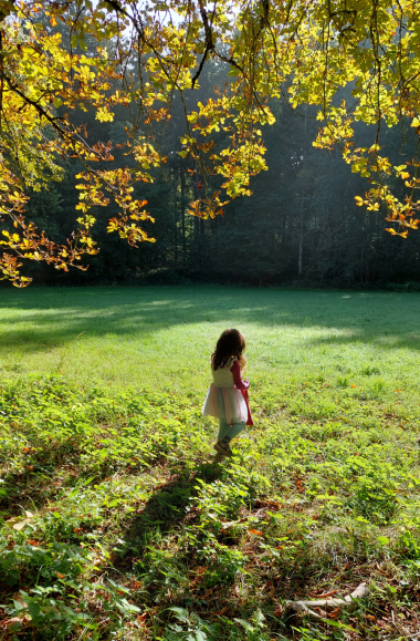 Schildele sammelt Kastagnien