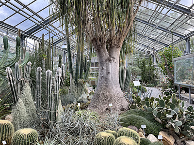 Botanischer Garten Potsdam