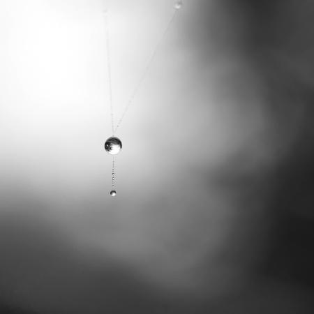 DeviantArt<br />
FeliDae84<br />
'Time'