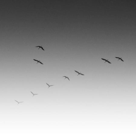 DeviantArt<br />
YourForgiveness<br />
'Remember Dreaming'