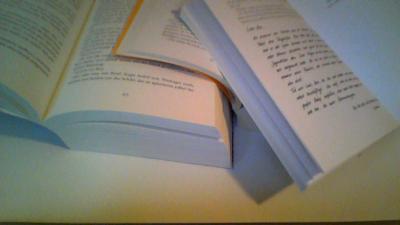 Bild zur Layout versch&ouml;nerung :D