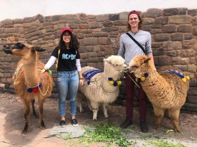 Ale, Lama, Alpacas und ich 