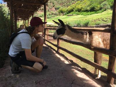 Llamafarm