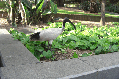 Das sind meine Freunde hier...