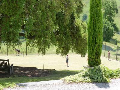 Es wurde Cricket und Tennis gespielt Es wurde Cricket und Tennis gespielt