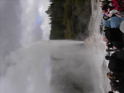 Lady Knox Geysir. Lady Knox Geysir.