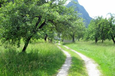 Am Anfang eines Weges... 