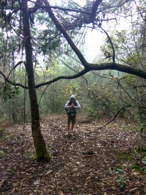 On the way to Doddebetta Peak 