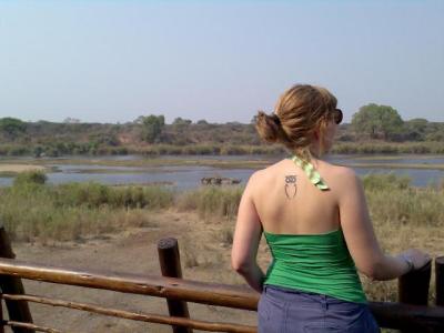 Ausblick aus dem Camp Lower Sabie