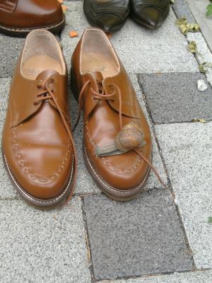 Meinst du das dir diese Schuhe passen?