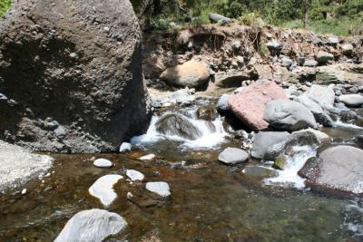 Bach in La Palma