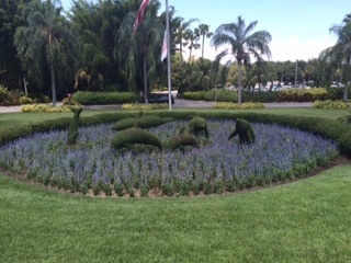 Dolphine start Dolphine start