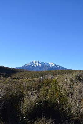 Tats&auml;chlich habe ich gar keine Ahnung, wie der Berg hei&szlig;t... aber Schneeeee