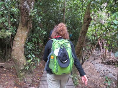 Und dann gings noch mal in den Busch