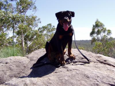 Para Wirra Recreation Park