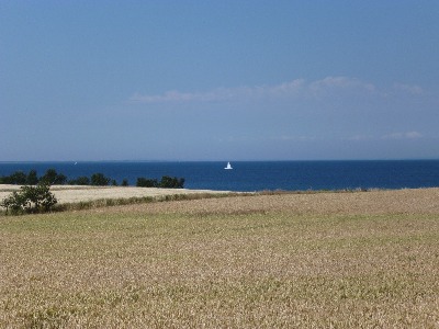 Landschaft mit Korn und Meer